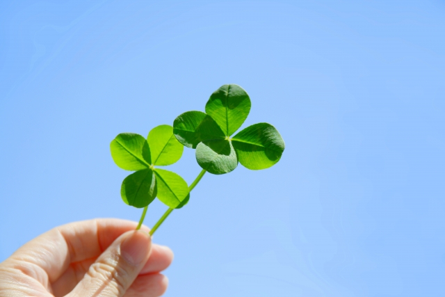 クローバーと青空