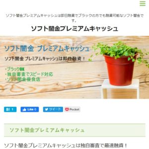 ソフト闇金プレミアムキャッシュのHP