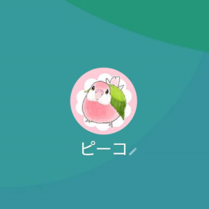 LINE名:ピーコ