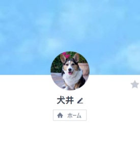 犬井のアカウント