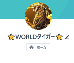 ⭐?WORLDタイガー⭐?
