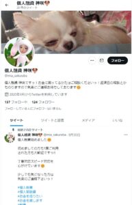 @mia_sakuraba「個人融資 神咲」というTwitterの闇金情報