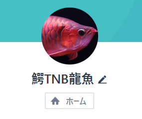 LINE名:鰐TNB龍魚(アロワナの画像)